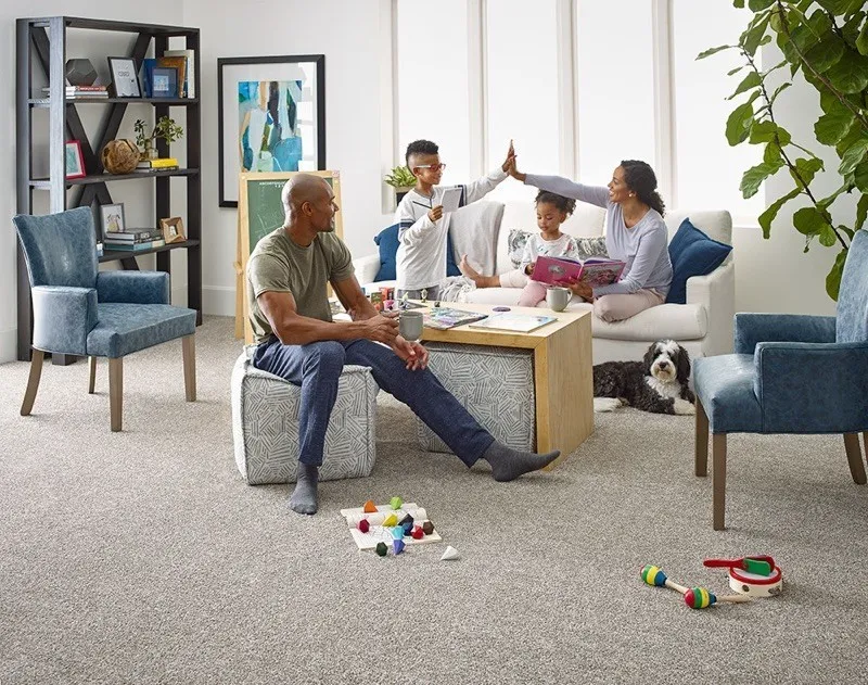 Living Room Carpet Flooring | DeGraaf Interiors