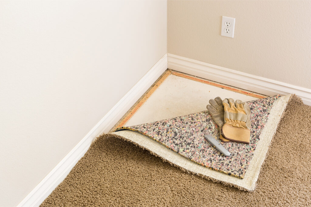 Common Carpet Problems and a Troubleshooting Guide | DeGraaf Interiors