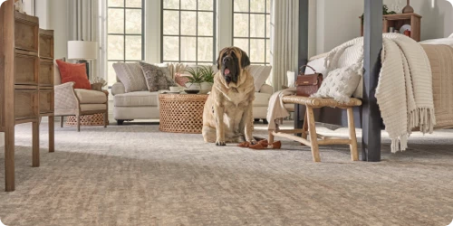 11442_50151_karastan_campaign Flooring | DeGraaf Interiors